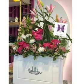 بوكس بالعبارات